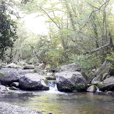 Holiday home Holidays In Provence Alpes Maritimes